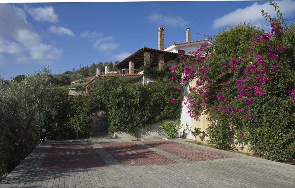 Agia Kali Villas Megali Ammos  Eksteriør billede